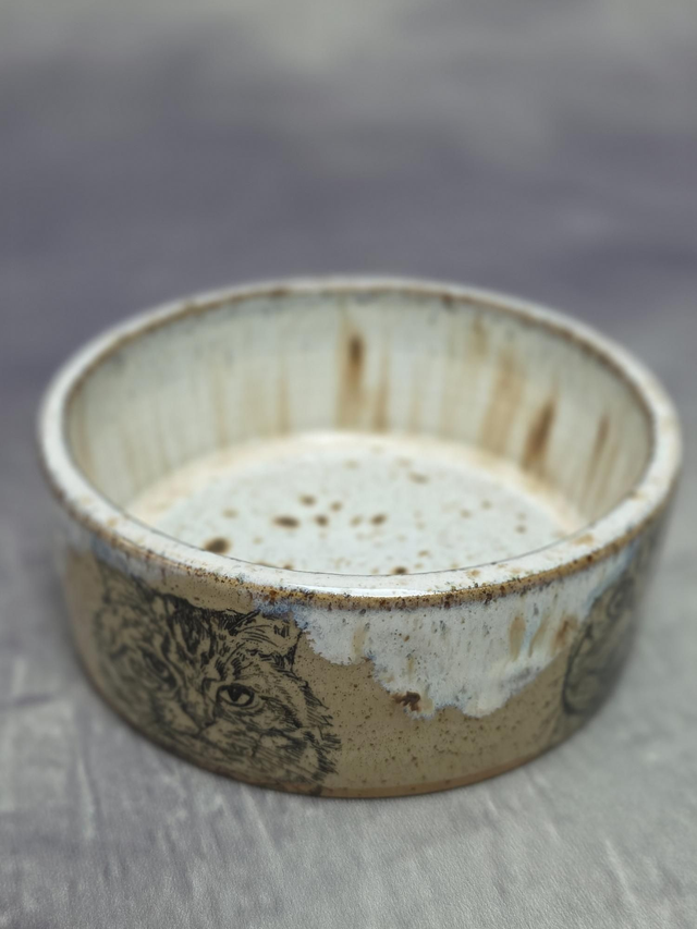Cat Bowl 01