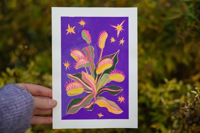 carnivorous plant original