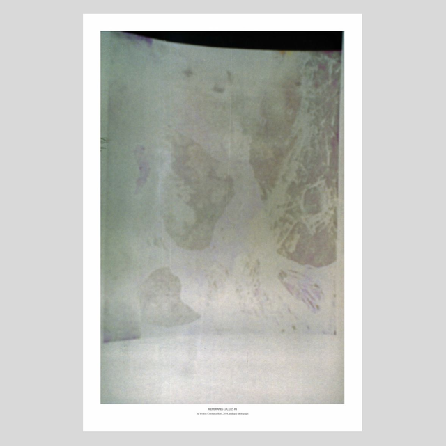 Membranes Lucides #3