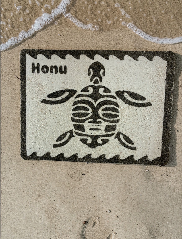 Tableau de sable DIY Oteo - Tortue