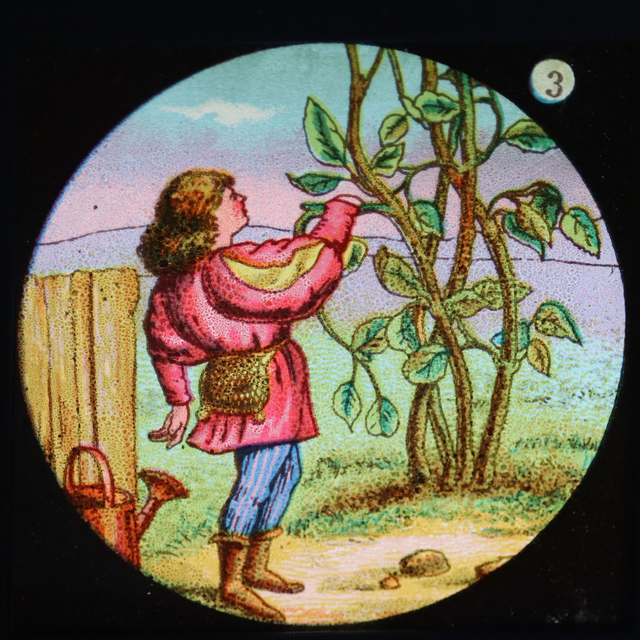Magic lantern slide book