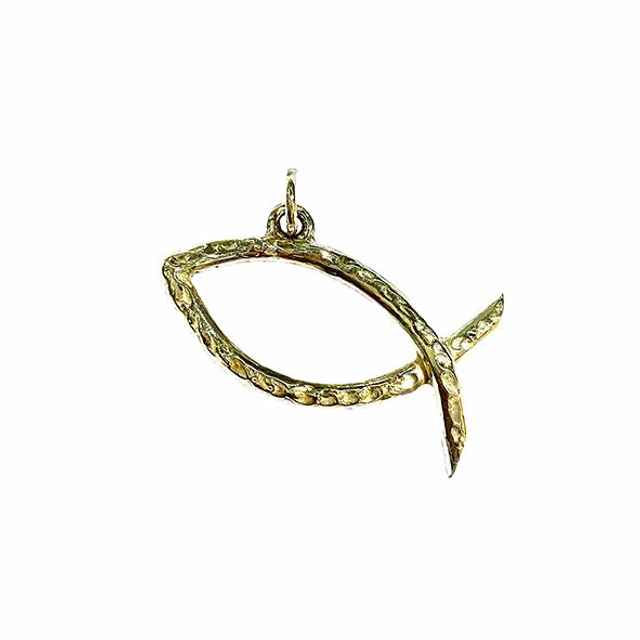 Cura-Mi 2025 capsula ICHTHYS