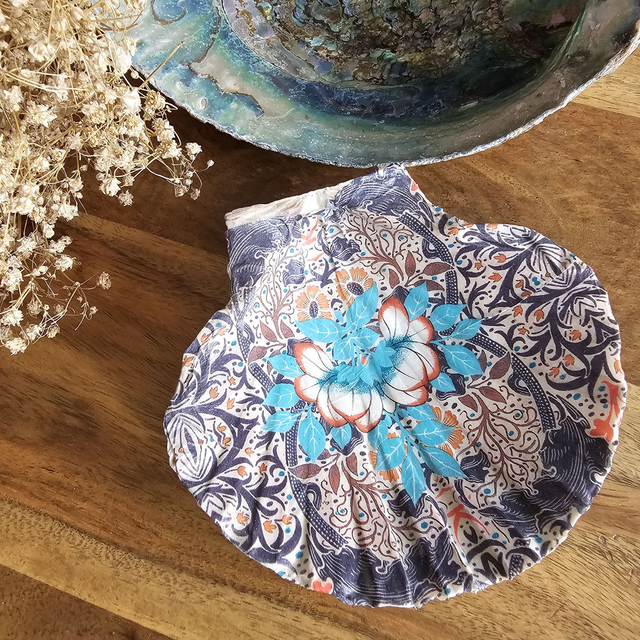 Lot de 7 Coquilles Saint-Jacques