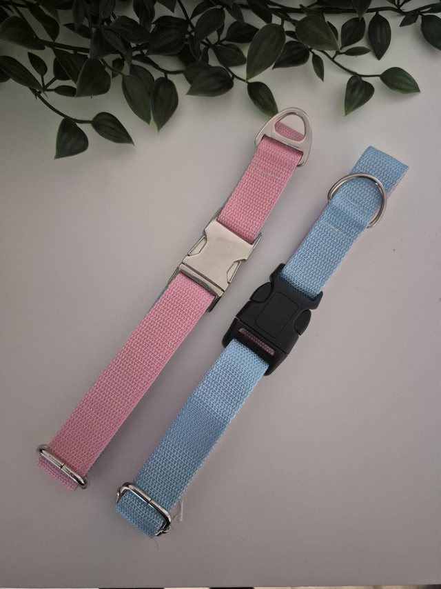 Blue/Pink 2 Tone Double webbing Dog Collars | 3 Sizes available | 2 Colour Variations
