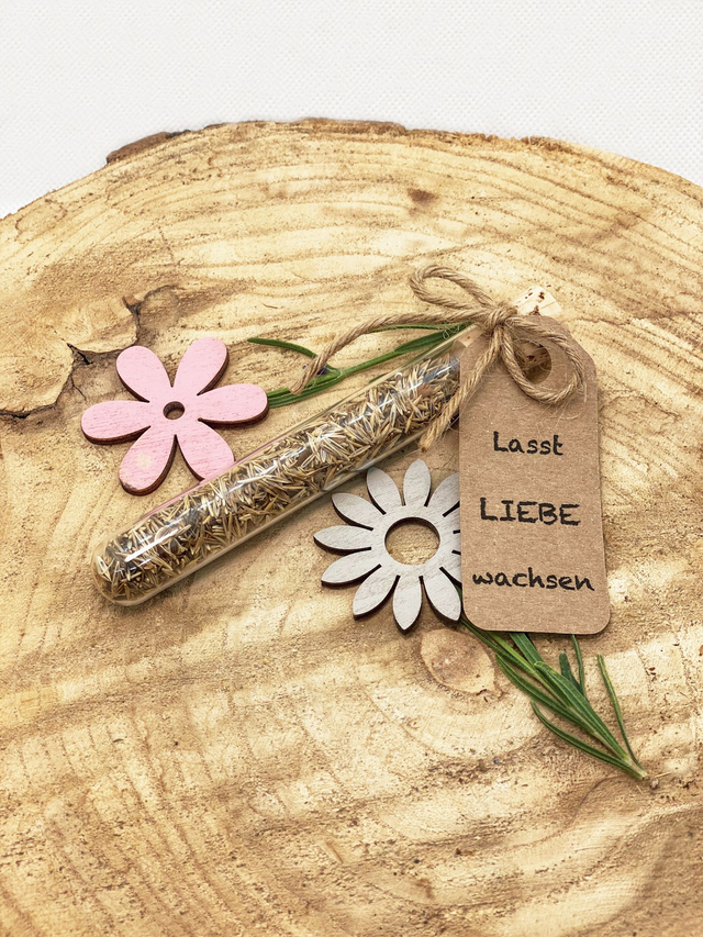 Gastgeschenk „Lasst Liebe wachsen“ mit Wildblumensamen