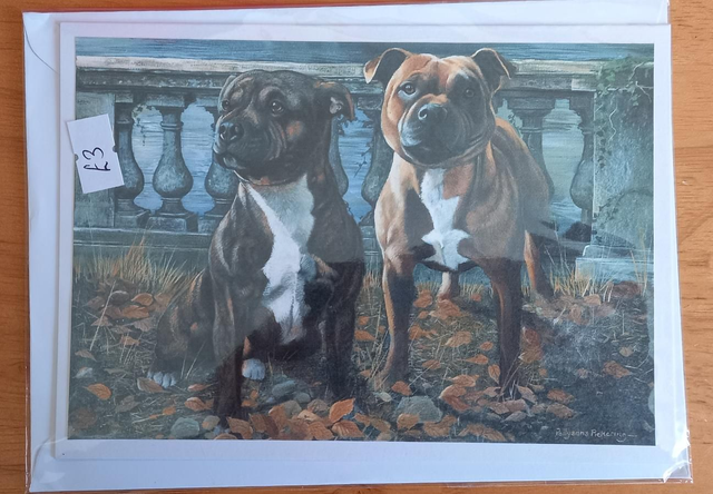 Staffordshire bull dog card