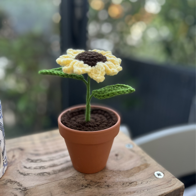 Tournesol 