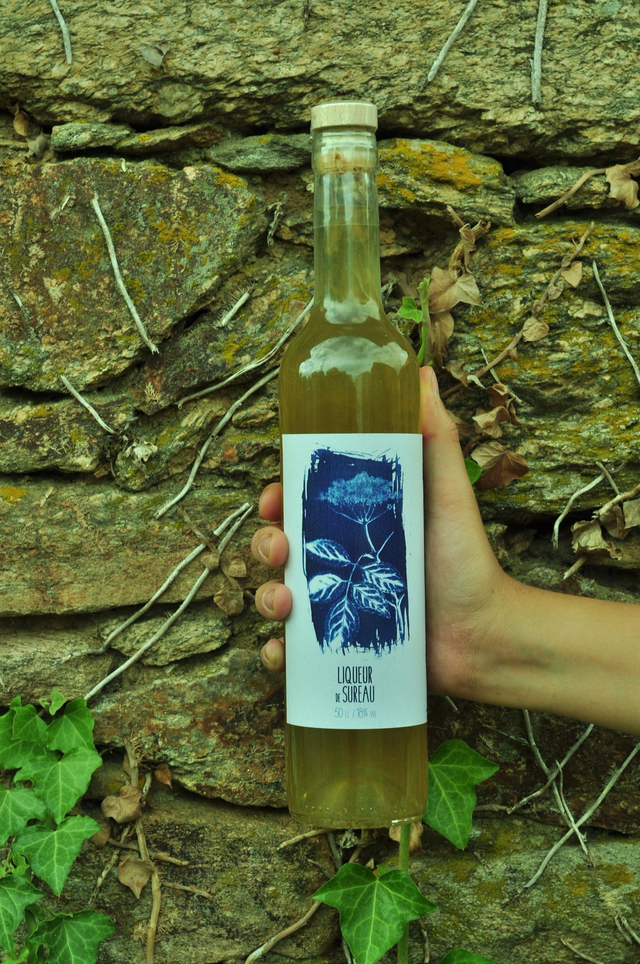 Liqueur de sureau bio 50cl