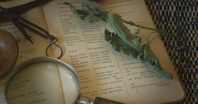 Naturopathie 1er visite