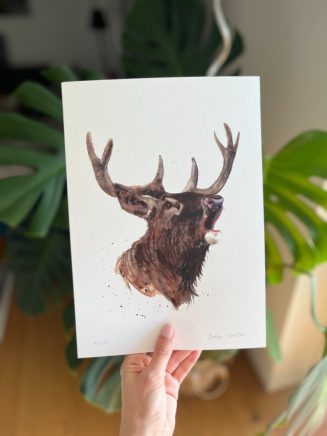 Kunstdruck A4 "Hirsch"