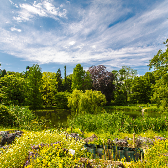 Botanischer Garten am Schloss