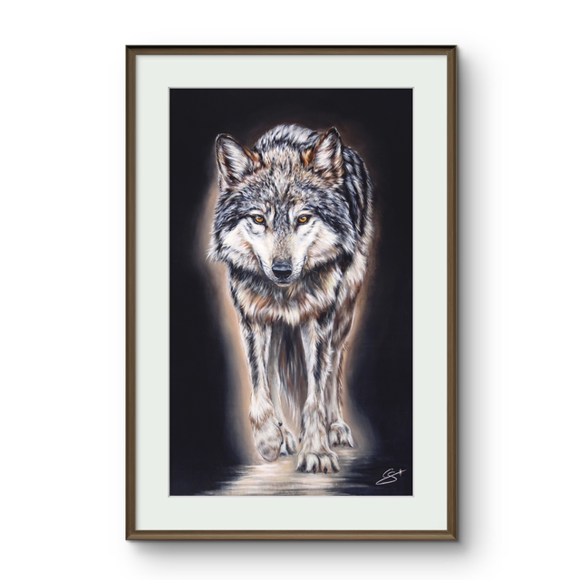 Tirage Loup 30x50 cm