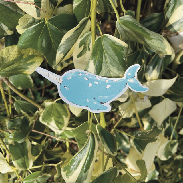 Sticker &quot;Narval&quot;