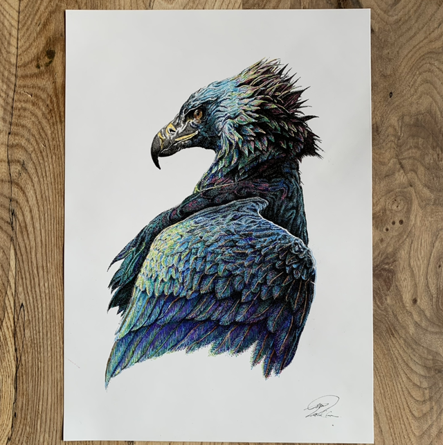 Iridescent eagle 