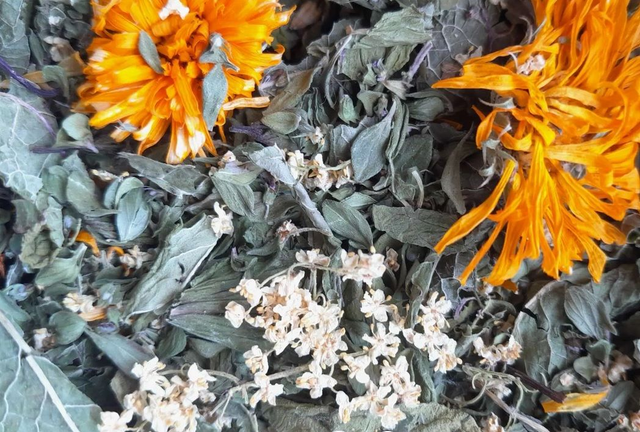 L'Estivale " infusion glacée " **édition limitée** 