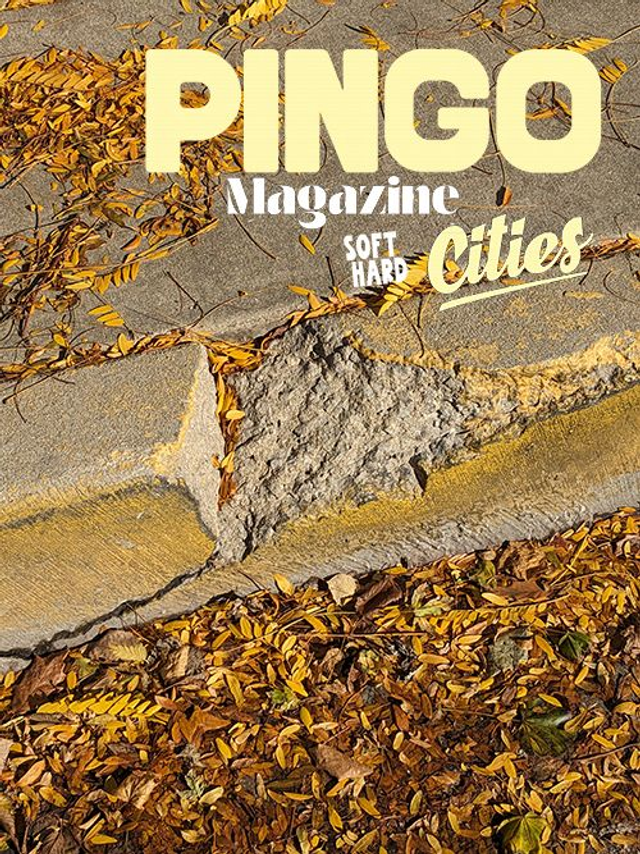 Pingo Magazine: Soft / Hard Cities 