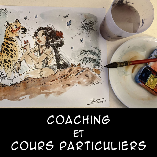 Coaching et cours particuliers professionnalisants