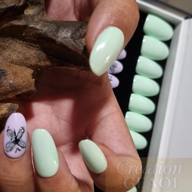 Green butterfly little rond M