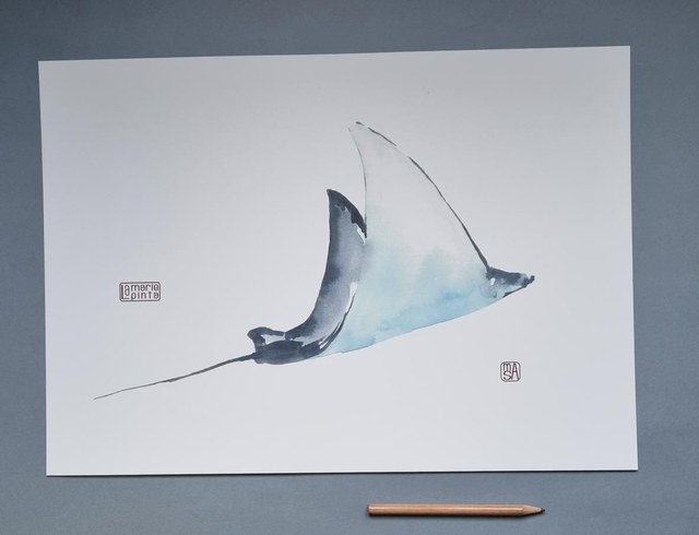 Raie bleu à partir de 4€