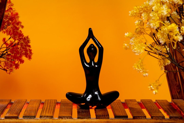  HATHA YOGA HEALING FLOW – SINGLE CLASS T-1010