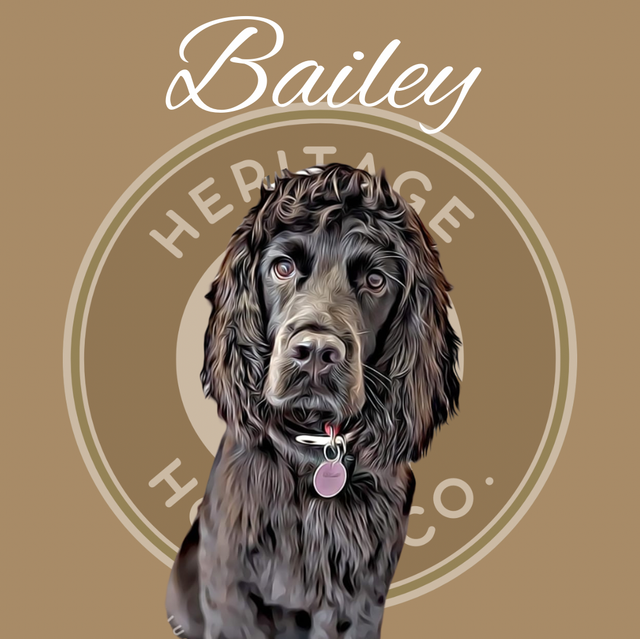 Personalised Digital Pet Portraits