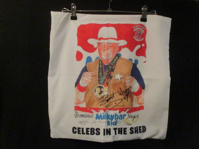 Dominic 'Milky Bar Kid' Negus Bare Knuckle Boxer Picture Silk Cushion Cover Only (45x45cm / 17.7x17.7in) #2