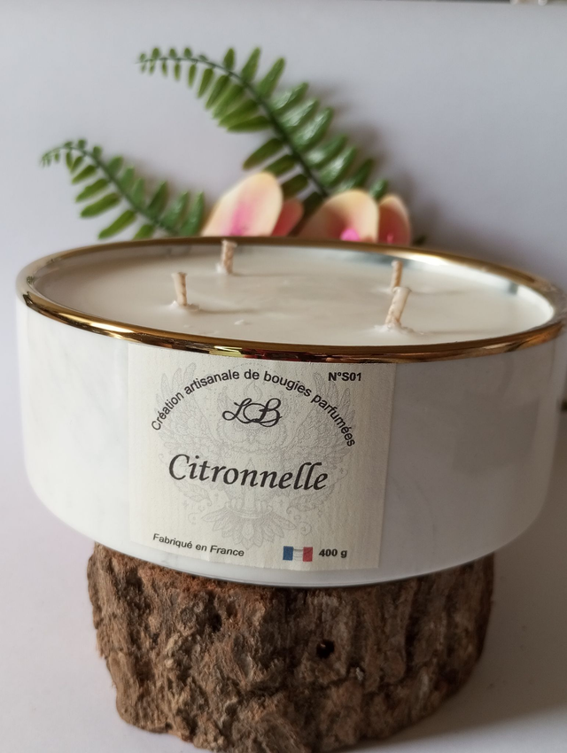 MAXI Citronnelle