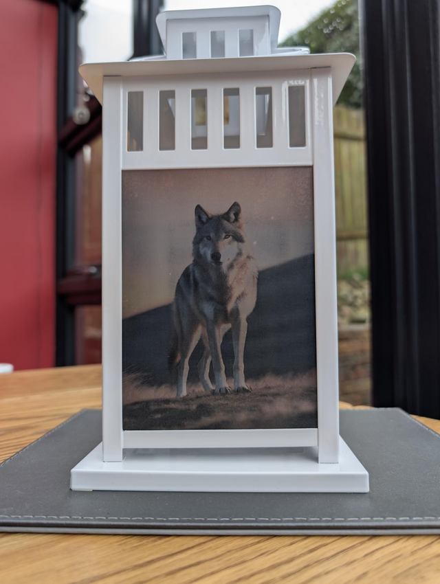Wolf Themed Lantern 