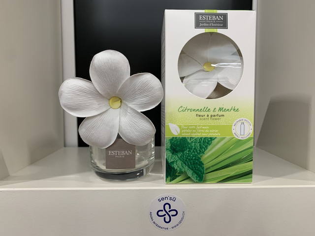 ESTEB FLEUR A PARFUM + RECH 75ML CITRONNELL/MENTHE