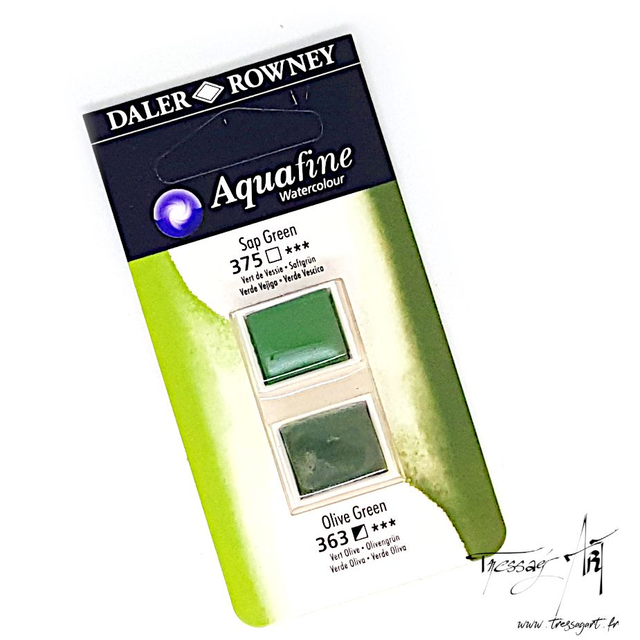 DALER ROWNEY - AQUARELLE DEMI-GODETS par 2 - VERT 375 &amp; 363 - CA002375