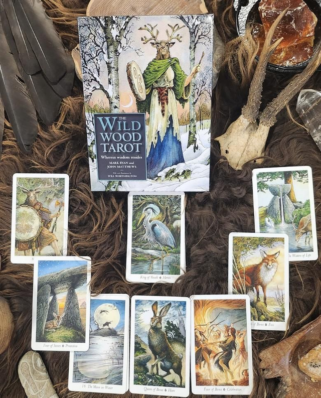 The Wildwood Tarot