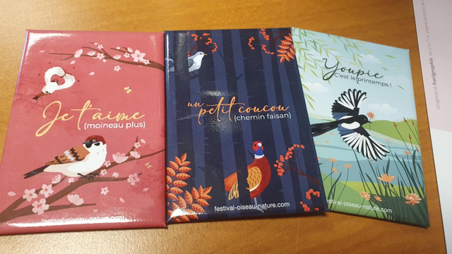 Ensemble de 3 magnets collector