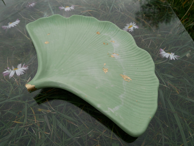 Feuille de ginko verte