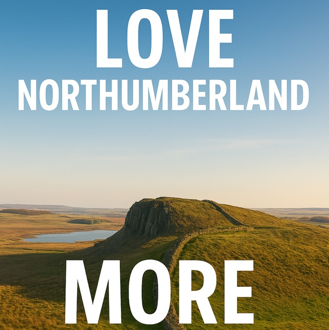 Love Northumberland More For Less Hub
