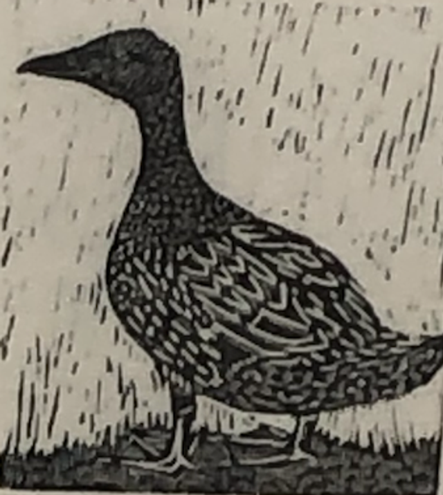 SP38 Hoover 16/50 by Shelagh Popham,  Wood Engraving, 2 x 2 3/4 inches