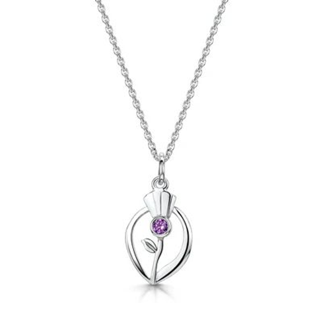 Glenna Scottish Thistle