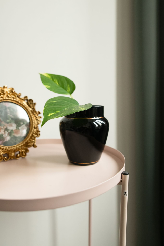 Urna Mystica 🖤 Vase  