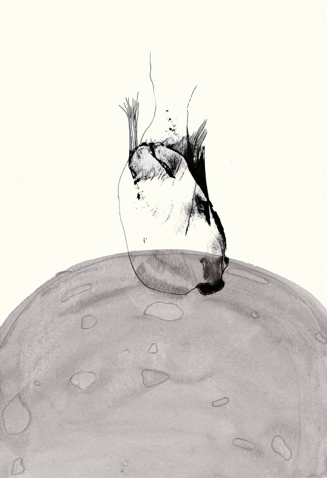 Encre de chine originale des « Comptines du week-end »  . Titre : Alunir à la russe sur un mont Vénus