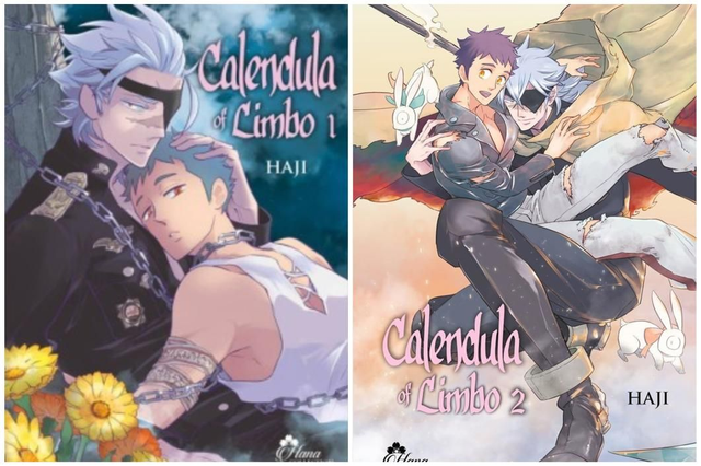 Calendula of limbo-integrale