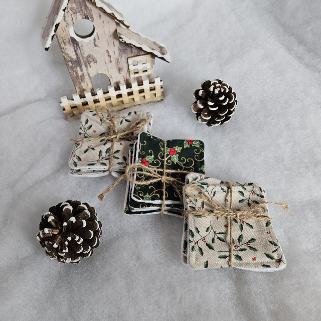 Quatuor démaquillant houx de Noël 