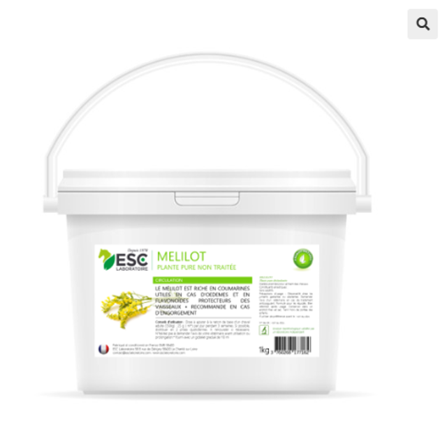 MELILOT – Circulation cheval – Plante pure