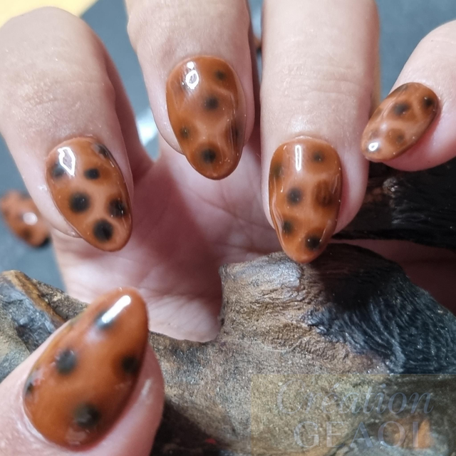 Tortoise Little Rond xs sur commande délai de 7jours ouvrable 