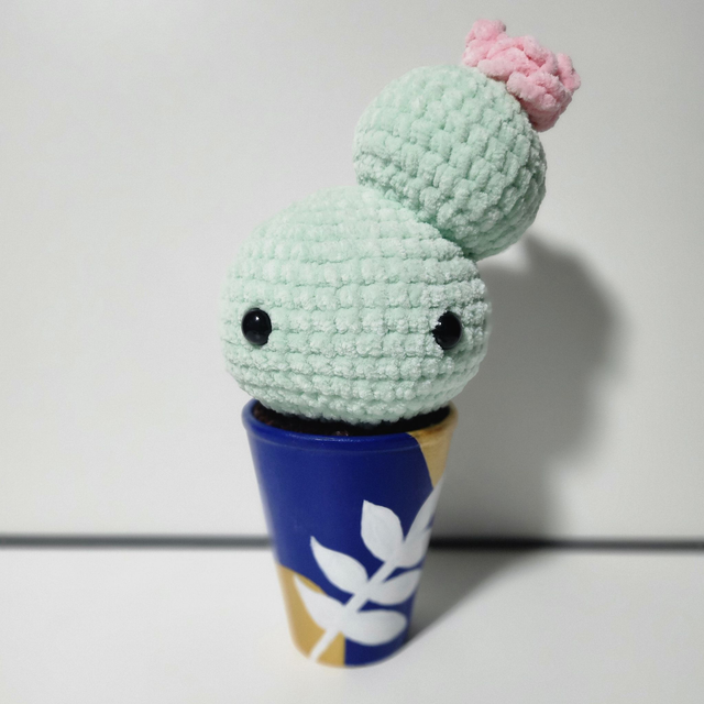 Cactus en pot