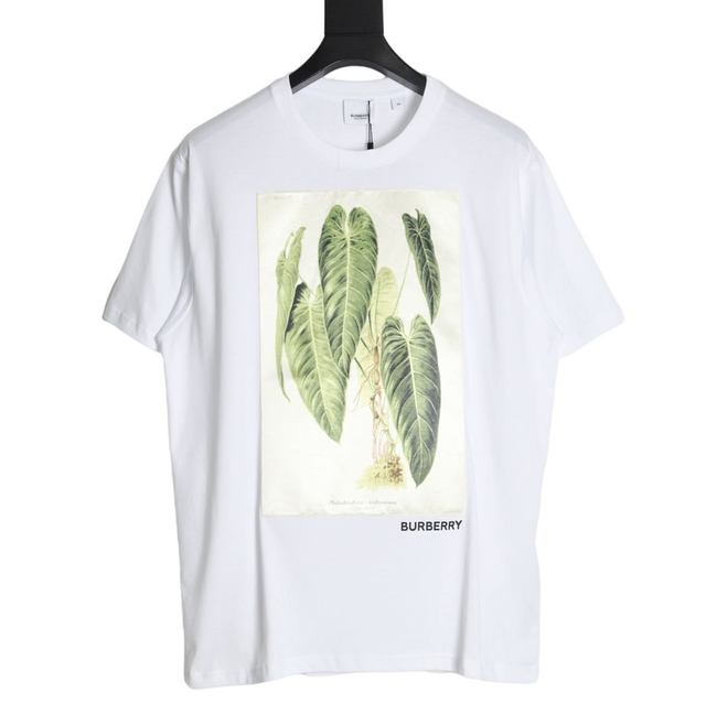 Burberry mens white t shirt 