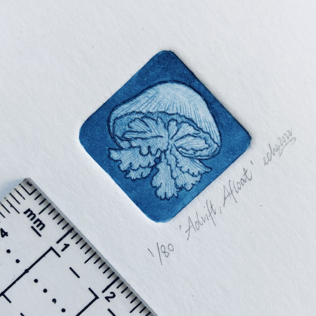 Adrift, Afloat (Limited edition)