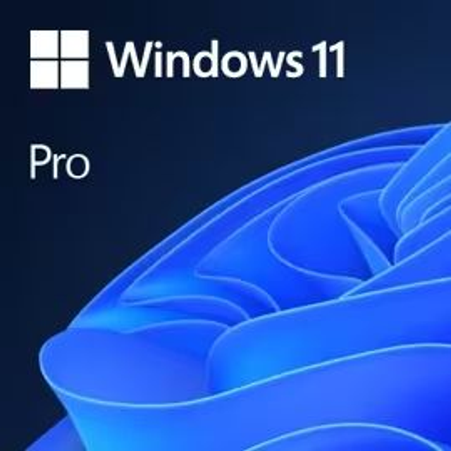 Windows 11 Professionel (OEM)