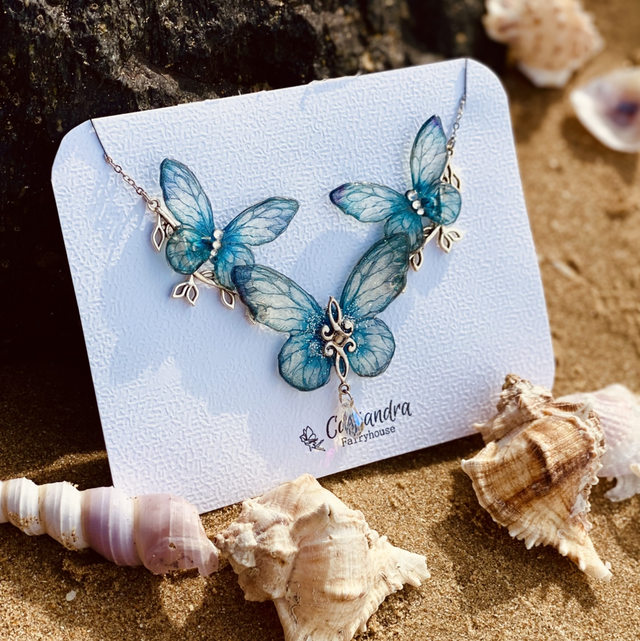 Les papillons des mers