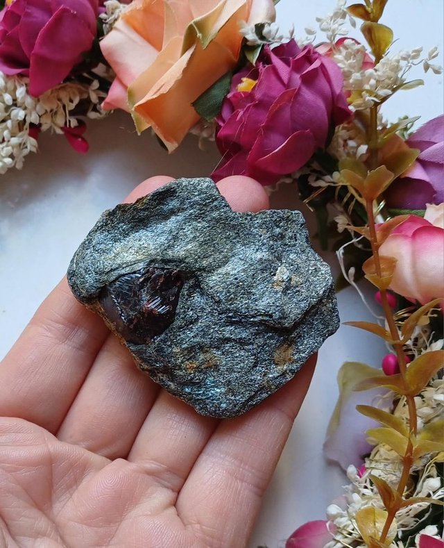 Garnet in Mica Schist
