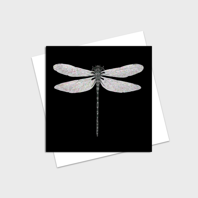 Dragonfly Greeting Card