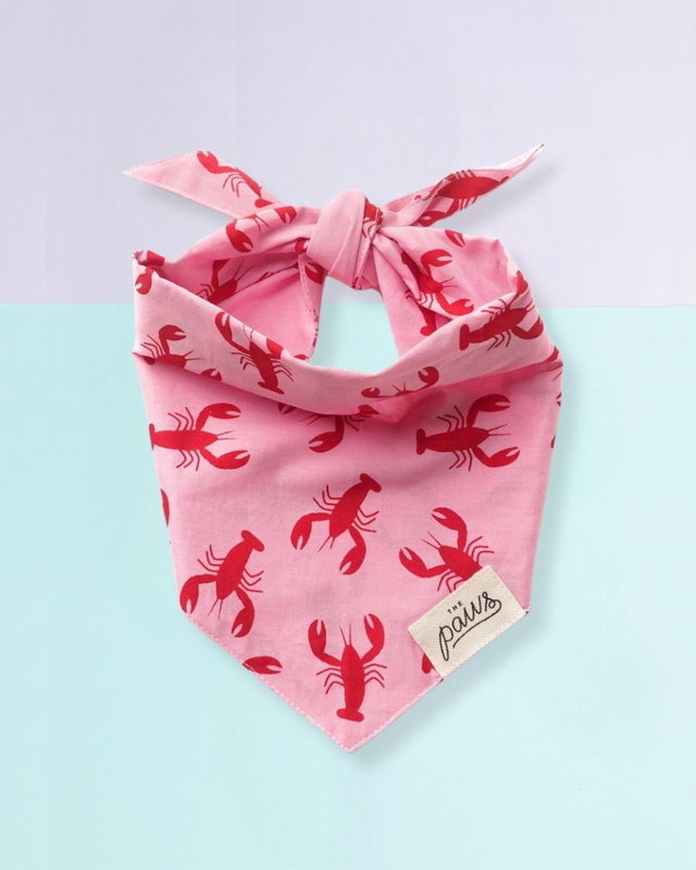 The Paws - Frye Island Lobster Bandana
